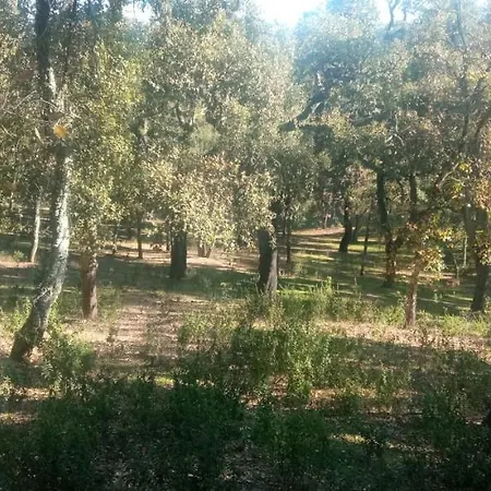 Penasquitos Cazalla de la Sierra