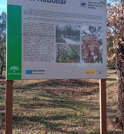 Penasquitos Cazalla de la Sierra